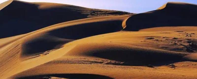 沙漠里最常见的是什么沙丘
